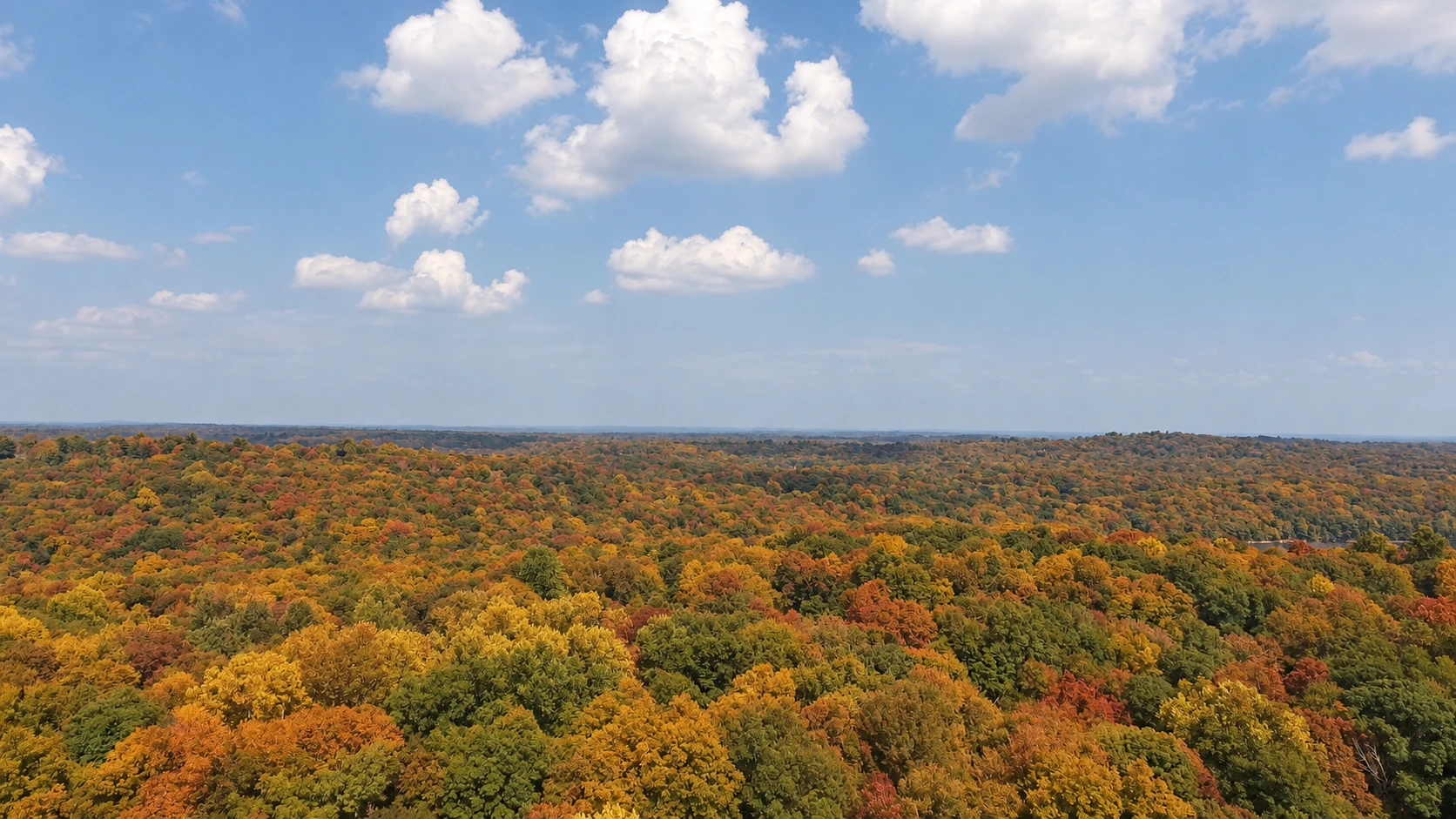 Autumn visualization of the surrounding treetops beneath a blue, cloud-filled sky